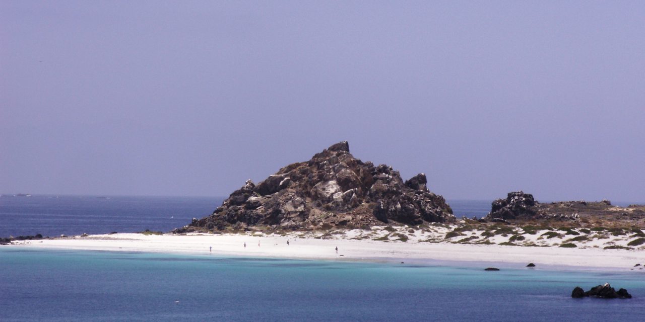 Damas Island or Chañaral de Aceituno Tour